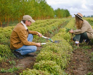 Planting & Gardening
